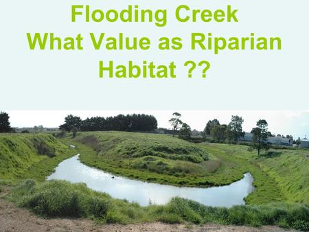 Flooding Creek What Value as Riparian Habitat ??.