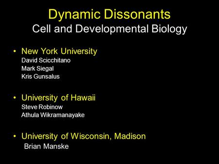 Dynamic Dissonants Cell and Developmental Biology New York University David Scicchitano Mark Siegal Kris Gunsalus University of Hawaii Steve Robinow Athula.
