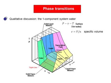 Phase transitions Qualitative discussion: the 1-component system water specific volume.