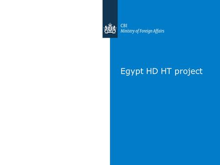 Egypt HD HT project. Next steps This week Fill in Lime survey (please) June 25, 2014: BD workshop; one day instead two June 26, 2014: One – on – one surgery.