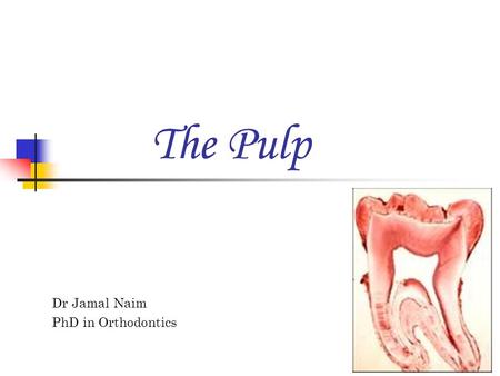 The Pulp Dr Jamal Naim PhD in Orthodontics.