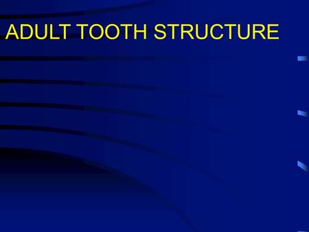 ADULT TOOTH STRUCTURE. 1.In adult humans there are 32 permanent teeth. 2.These are preceded during childhood by 20 deciduous teeth. 3.The tooth lies in.