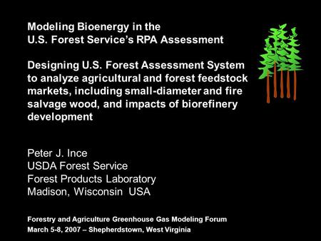 Modeling Bioenergy in the U.S. Forest Service’s RPA Assessment Designing U.S. Forest Assessment System to analyze agricultural and forest feedstock markets,