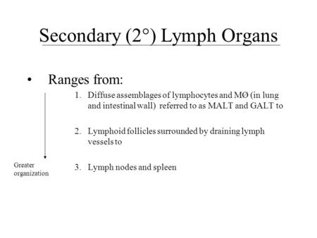 Secondary (2°) Lymph Organs Ranges from: 1.Diffuse assemblages of lymphocytes and MØ (in lung and intestinal wall) referred to as MALT and GALT to 2. Lymphoid.