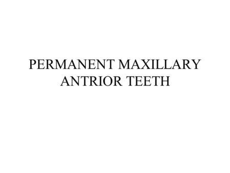 PERMANENT MAXILLARY ANTRIOR TEETH. MAXILLARY INCISORS Most prominent Widest MD Straight incisal edge Straight M Slightly curved D.