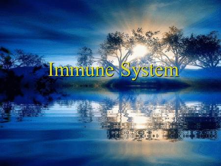 Immune System. 1 Constituents: Lymphocytes in blood vessels, lymphatic vessels and somewhere else, lymphatic vessels and somewhere else, lymphatic tissues.