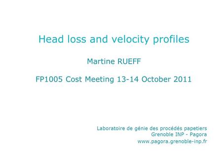 Head loss and velocity profiles Martine RUEFF FP1005 Cost Meeting 13-14 October 2011 Laboratoire de génie des procédés papetiers Grenoble INP - Pagora.