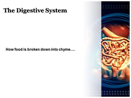 How food is broken down into chyme….