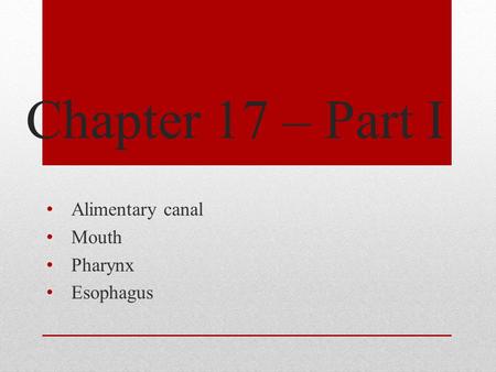 Chapter 17 – Part I Alimentary canal Mouth Pharynx Esophagus.