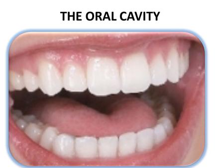 THE ORAL CAVITY Good overall health starts with the oral cavity…