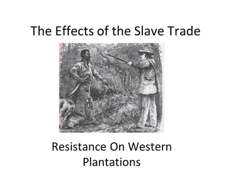 The Effects of the Slave Trade Resistance On Western Plantations.
