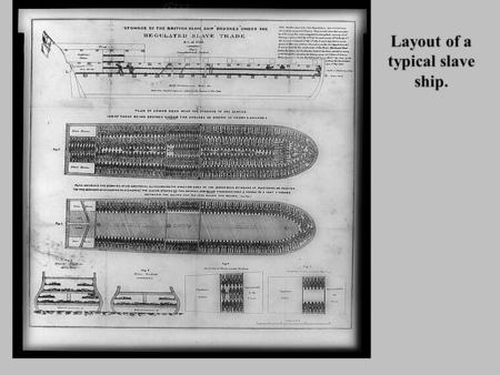 Layout of a typical slave ship.. Gathering newly- captured slaves aboard ship.