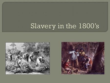  The majority of Southerners supported slavery, but some suggested that it was unconstitutional.  Supporters claimed that slavery was the only way to.