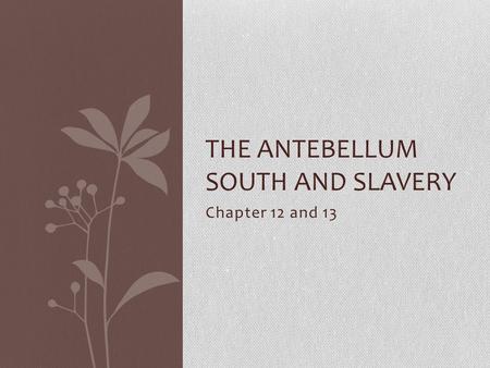 The antebellum south and Slavery