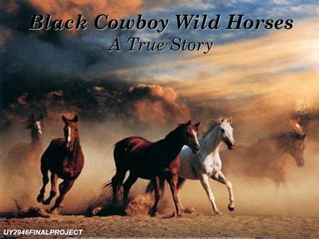 Black Cowboy Wild Horses A True Story UY2946FINALPROJECT.