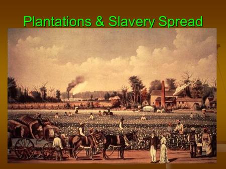 Plantations & Slavery Spread. Eli Whitney’s Cotton Gin.