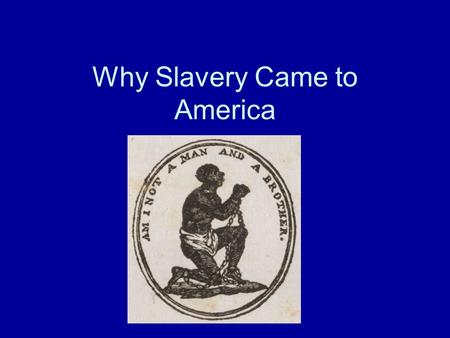 Why Slavery Came to America. Tobacco is very labor intensive In colonial Virginia, there was plenty of land, but not a lot of workers. 1 st labor force.
