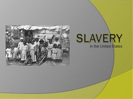 In the United States. When did slavery start? Slavery started in the United States in the early 1500’s. The slaves were brought from Africa to the United.