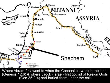 Where Abram first went to when the Canaanites were in the land. (Genesis 12:6) & where Jacob (Israel) first got rid of foreign Gods (Gen 35:2-4) and buried.