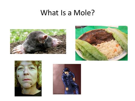 What Is a Mole?.