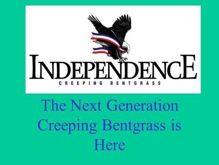 The Next Generation Creeping Bentgrass is Here. Newer bents vs. existing bents Short bentgrass development history –Varieties have different attributes.