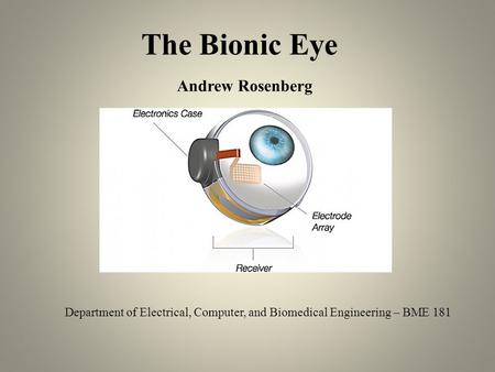 The Bionic Eye Department of Electrical, Computer, and Biomedical Engineering – BME 181 Andrew Rosenberg.