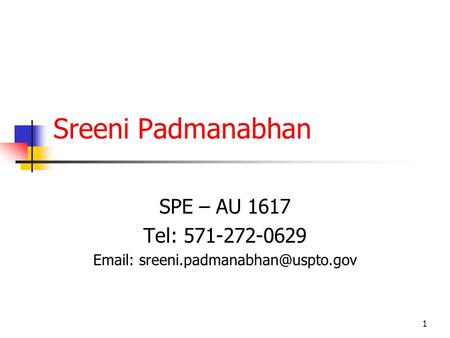 1 Sreeni Padmanabhan SPE – AU 1617 Tel: 571-272-0629