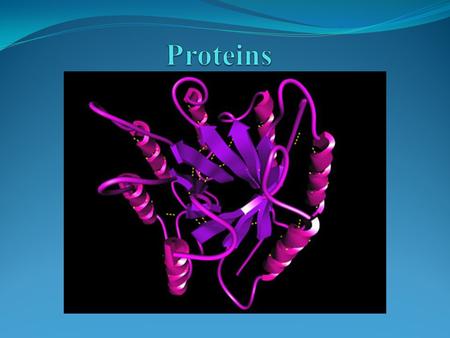 General Info about Proteins Most diverse and most important macromolecules. Our entire DNA codes for proteins only, and nothing else. Therefore they are.