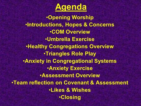 Agenda Opening Worship Introductions, Hopes & Concerns COM Overview Umbrella Exercise Healthy Congregations Overview Triangles Role Play Anxiety in Congregational.