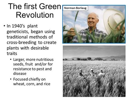 The first Green Revolution In 1940’s plant geneticists, began using traditional methods of cross-breeding to create plants with desirable traits Larger,