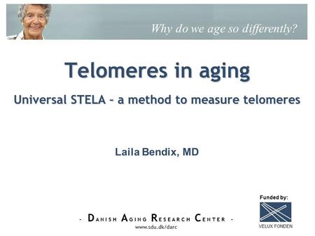 - D A N I S H A G I N G R E S E A R C H C E N T E R - www.sdu.dk/darc Telomeres in aging Universal STELA – a method to measure telomeres Why do we age.