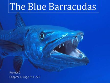 The Blue Barracudas Project 2 Chapter 6, Page 211-220.