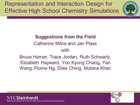 Suggestions from the Field Catherine Milne and Jan Plass with Bruce Homer, Trace Jordan, Ruth Schwartz, Elizabeth Hayward, Yoo Kyung Chang, Yan Wang, Florrie.