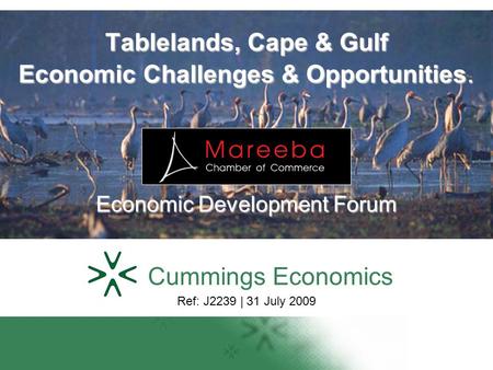 Tablelands, Cape & Gulf Economic Challenges & Opportunities. Economic Development Forum Cummings Economics Ref: J2239 | 31 July 2009.