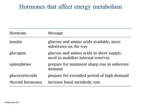 Hormones that affect energy metabolism © Michael Palmer 2014.