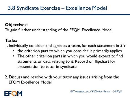 3.8 Syndicate Exercise – Excellence Model