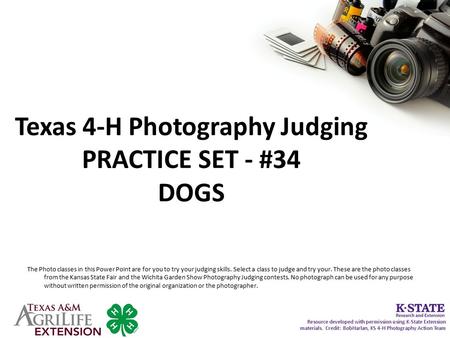 Texas 4-H Photography Judging PRACTICE SET - #34 DOGS The Photo classes in this Power Point are for you to try your judging skills. Select a class to judge.