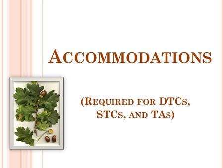 A CCOMMODATIONS (R EQUIRED FOR DTC S, STC S, AND TA S )