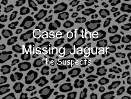 Case of the Missing Jaguar The Suspects. The Case of the Missing Jaguar This morning when I came into the building, I found that the our school mascot,