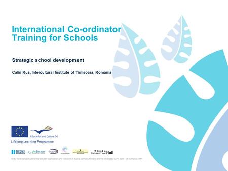 International Co-ordinator Training for Schools Strategic school development Calin Rus, Intercultural Institute of Timisoara, Romania.