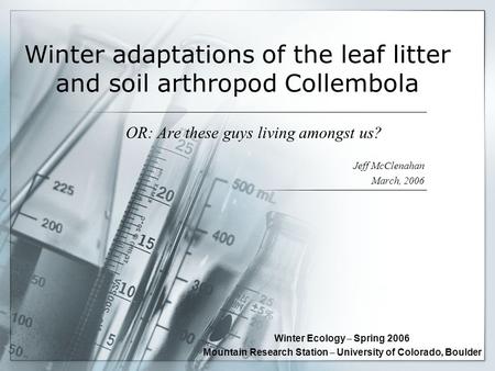 Winter adaptations of the leaf litter and soil arthropod Collembola OR: Are these guys living amongst us? Jeff McClenahan March, 2006 Winter Ecology –