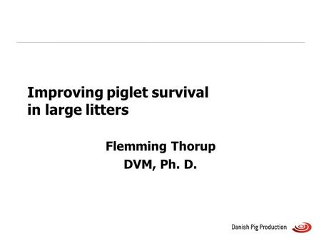 Improving piglet survival in large litters Flemming Thorup DVM, Ph. D.