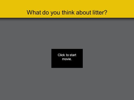 What do you think about litter? Click to start movie.