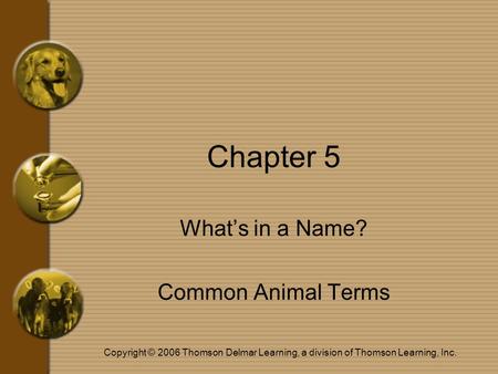 Copyright © 2006 Thomson Delmar Learning, a division of Thomson Learning, Inc. Chapter 5 What’s in a Name? Common Animal Terms.