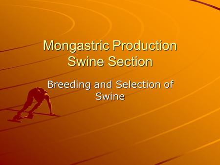 Mongastric Production Swine Section Breeding and Selection of Swine.