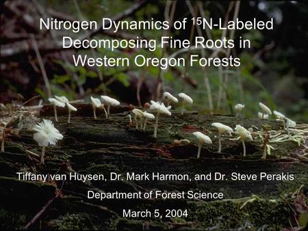 Nitrogen Dynamics of 15 N-Labeled Decomposing Fine Roots in Western Oregon Forests Tiffany van Huysen, Dr. Mark Harmon, and Dr. Steve Perakis Department.