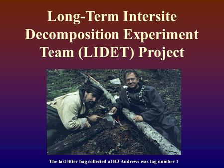 Long-Term Intersite Decomposition Experiment Team (LIDET) Project The last litter bag collected at HJ Andrews was tag number 1.