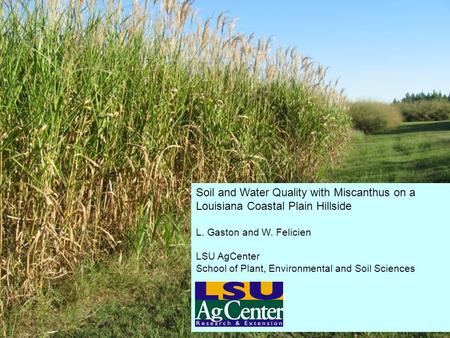 Soil and Water Quality with Miscanthus on a Louisiana Coastal Plain Hillside L. Gaston and W. Felicien LSU AgCenter School of Plant, Environmental and.