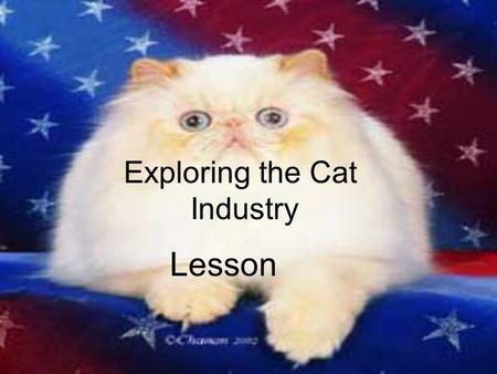 Exploring the Cat Industry Lesson. Interest Approach Display a litter box, cat litter, a pet carrier, cat brush, and a scratching post along with any.