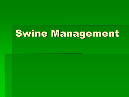 Swine Management.